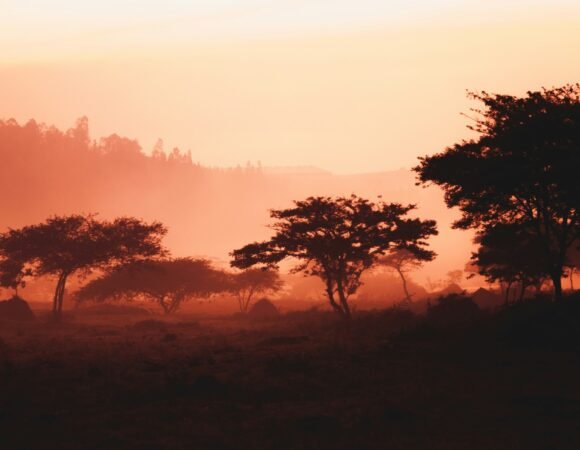 Culture in Uganda and Rwanda: Rhythm, Resilience, and Roots