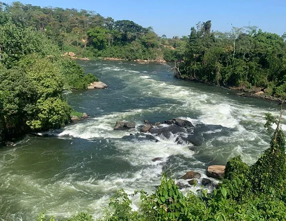 3-Day Birthday Safari at Murchison Falls, Uganda