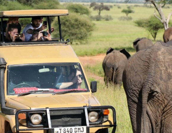 Car Hire & Safari Vehicle Services