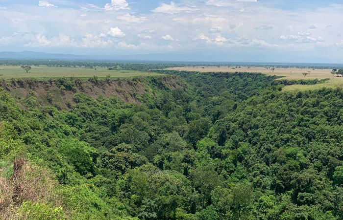 Kyambura Gorge Chimpanzee tracking