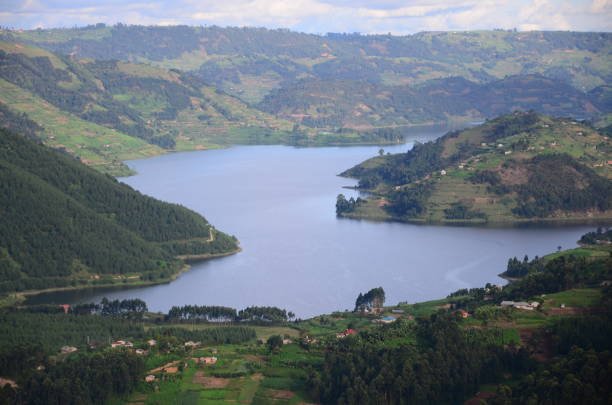 Gorilla Trekking & Lake Bunyonyi Safari, Uganda