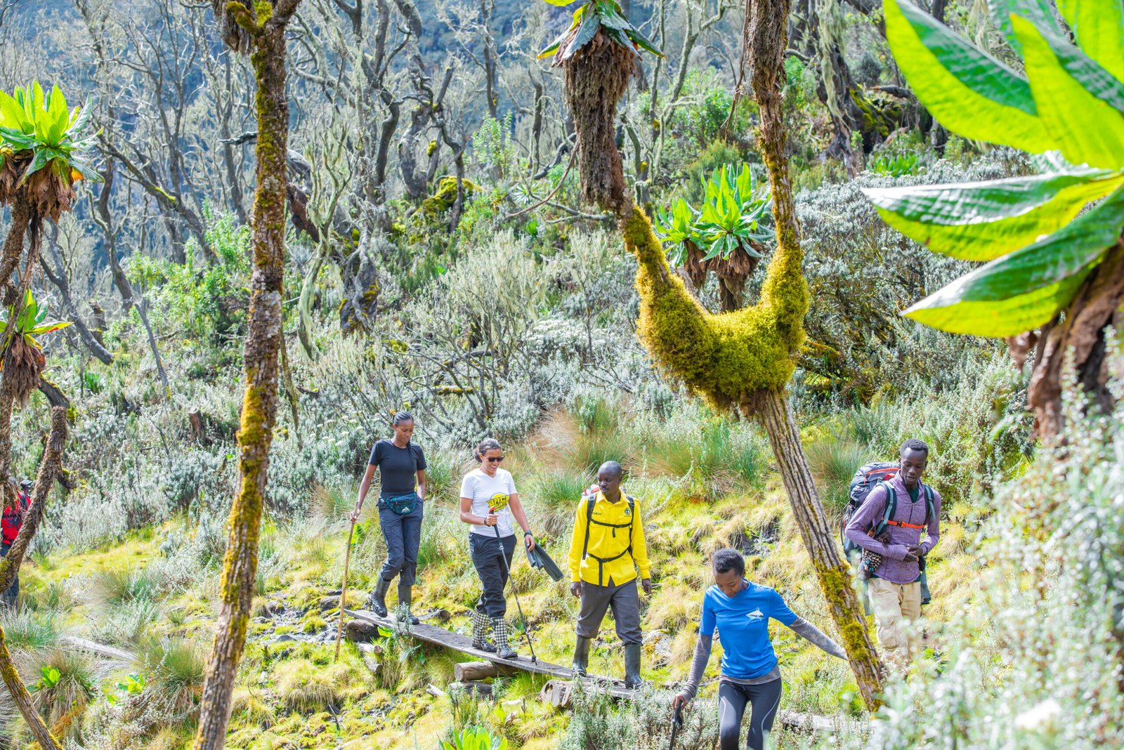 Gorilla trekking in Lake Bunyonyi