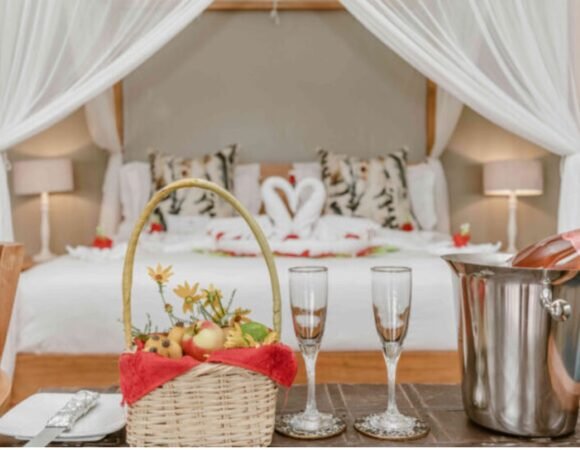 Honeymoon Safari in Uganda