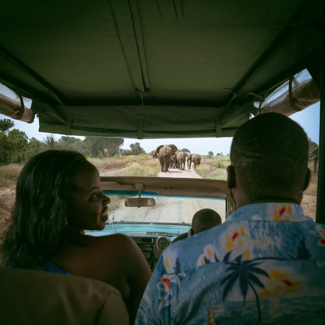 4 Days Honeymoon Safari at Queen Elizabeth National Park