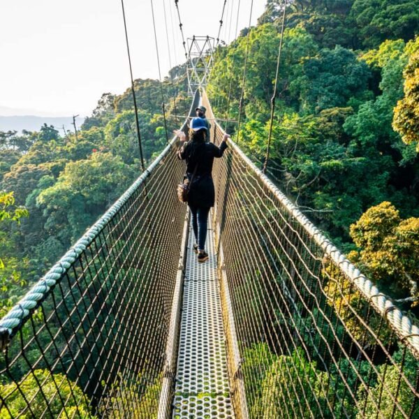 8-Day Solo Mixed Safari in Uganda