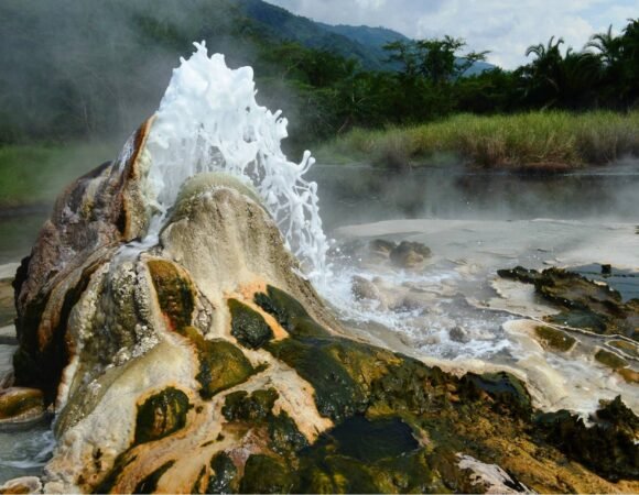 7 Days Murchison Falls, Kidepo & Bwindi Safari