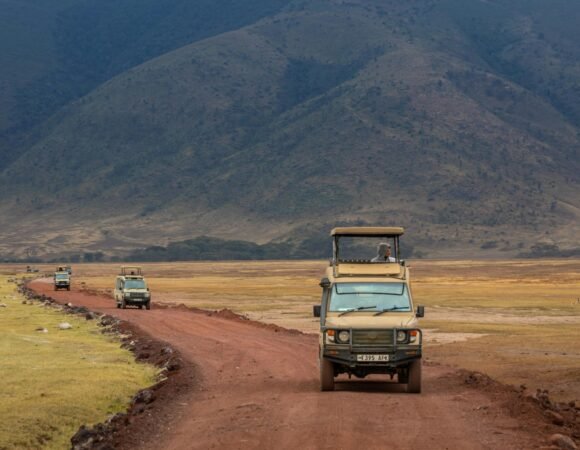 Tailor made safari tours