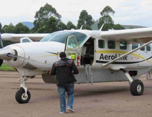 Domestic Flight Bookings