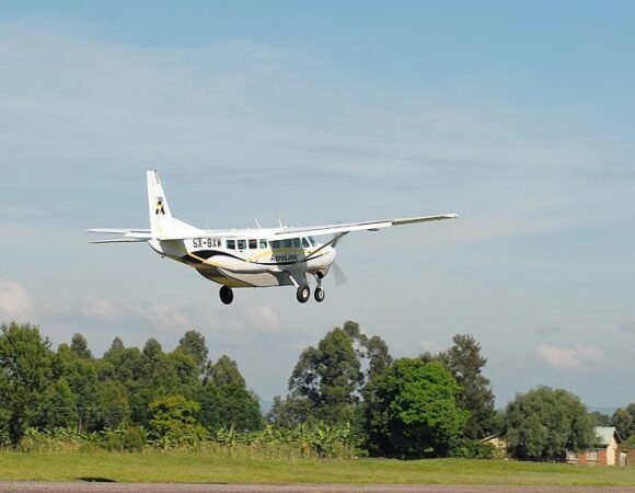 Domestic Flight Bookings