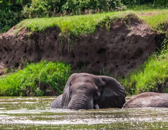 5 Days Solo Cultural Safari in Queen Elizabeth National Park, Uganda