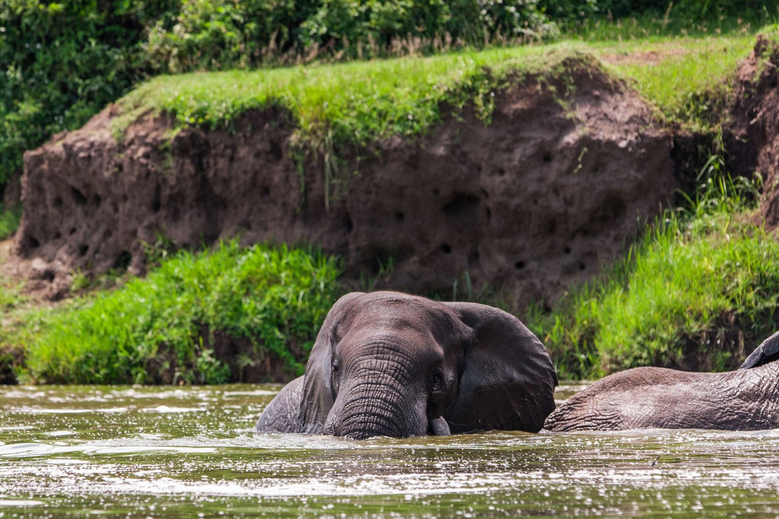 5 Days Solo Cultural Safari in Queen Elizabeth National Park, Uganda