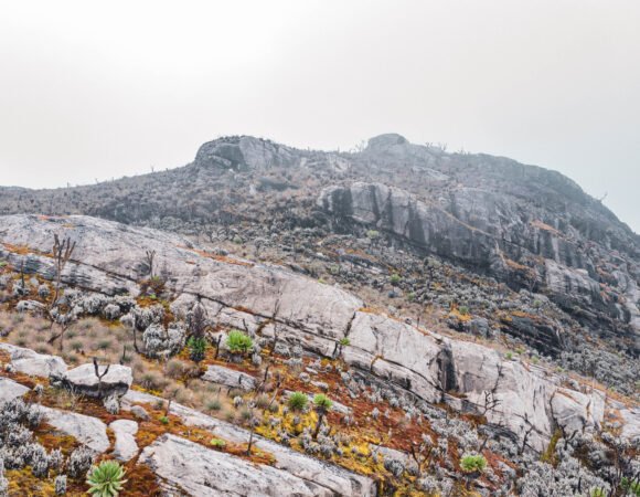 Mount Rwenzori Hiking Safari
