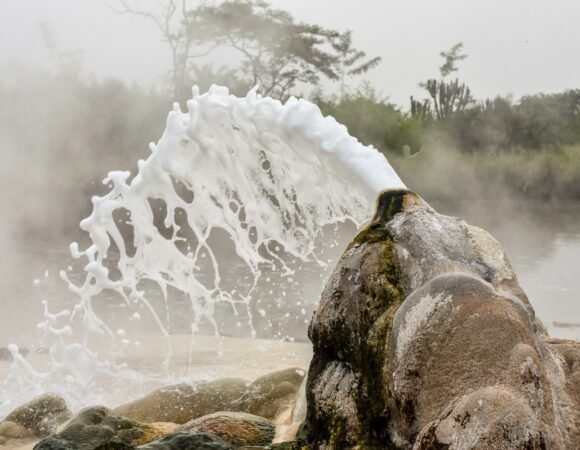 5 Days Toro Semuliki & Bwindi Safari