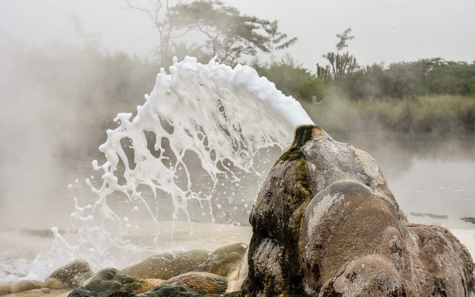 Toro Semuliki & Bwindi Safari