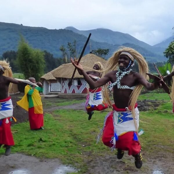 14 Days Best of Rwanda Safari