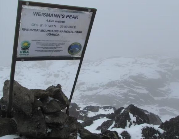 6 Days Weismann Peak Hike via Kilembe Trail