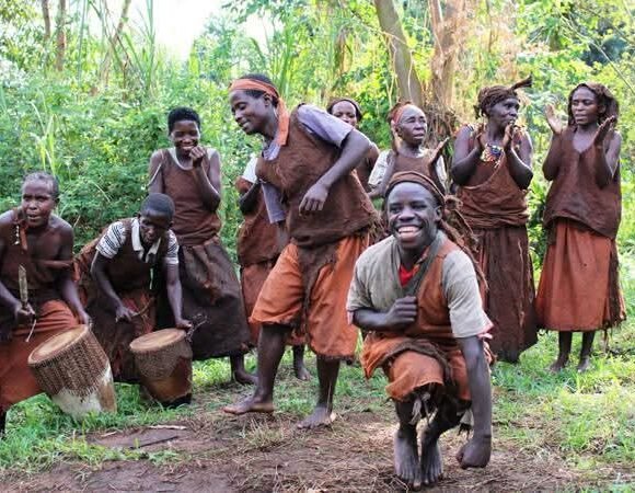 1 month Batwa Internship