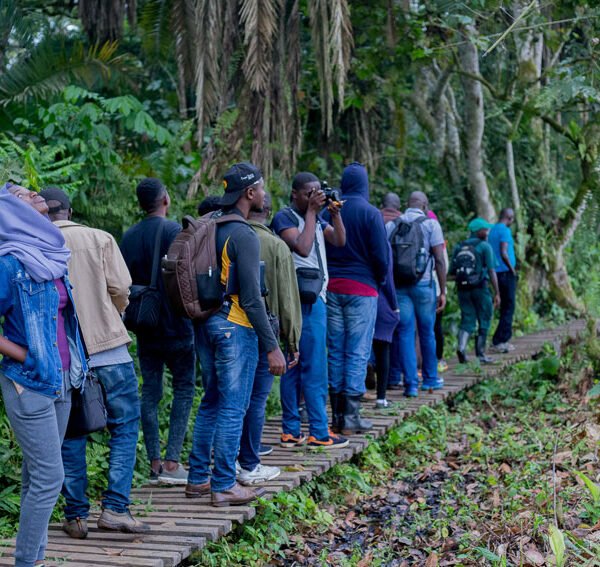 3 Days Kibale Chimp Trekking Safari