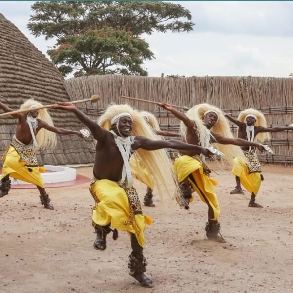 3 Days Volcanoes National Park Gorilla Safari