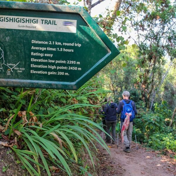Nyungwe Forest National Park