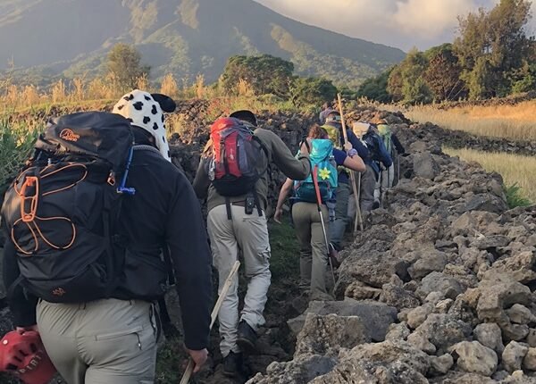 Mount Rwenzori National Park