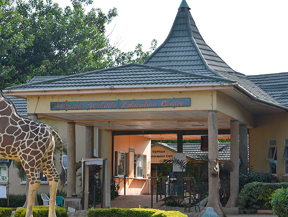 1 Day Entebbe Zoo Tour