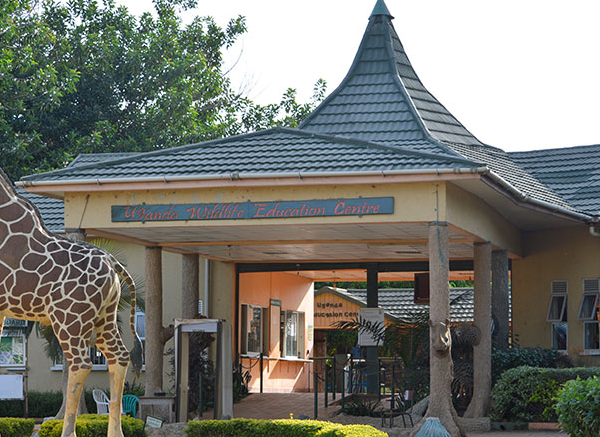 1 Day Entebbe Zoo Tour