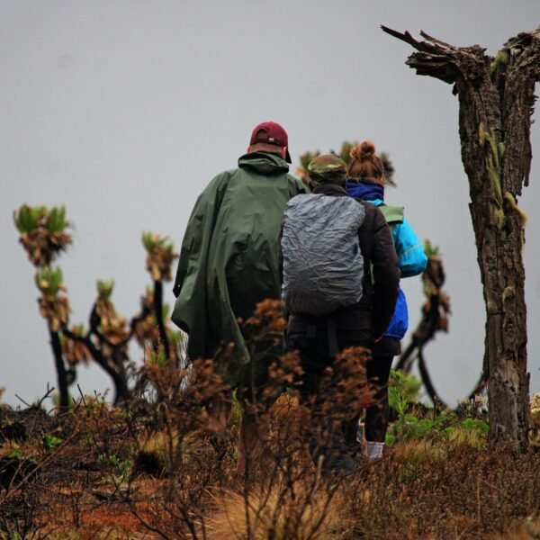 Mount Elgon Climbing