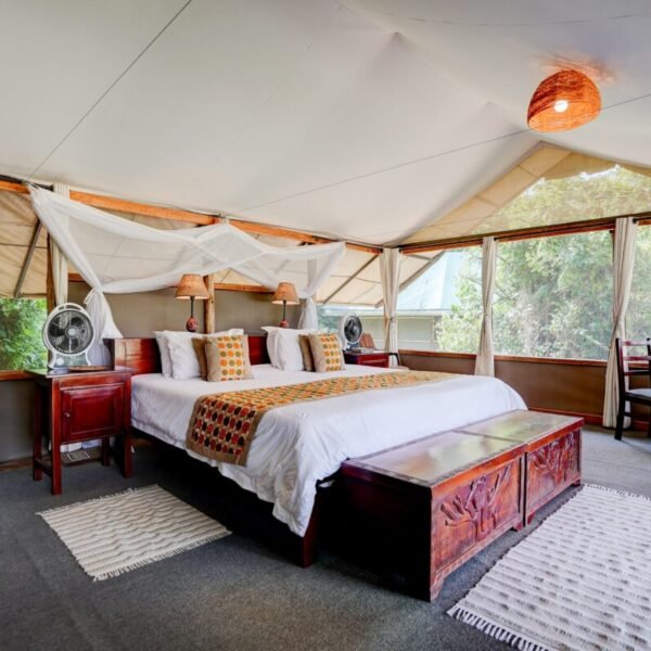 11 Days Lion Experiential Safari