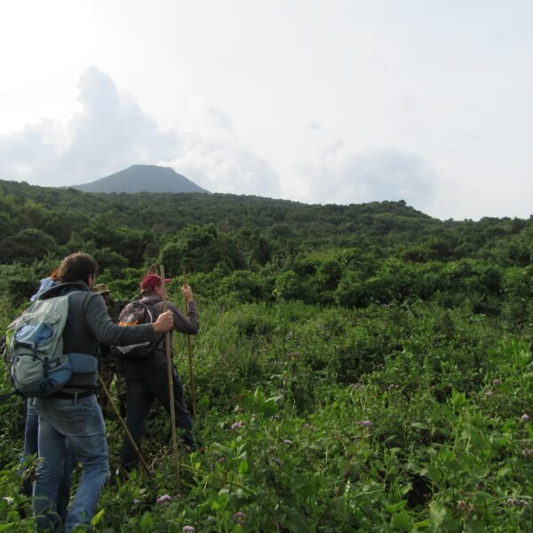 Mgahinga Volcanic Hiking Experience