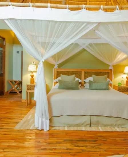 11 Days Lion Experiential Safari