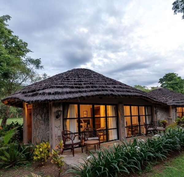 15 Days Honeymoon safari
