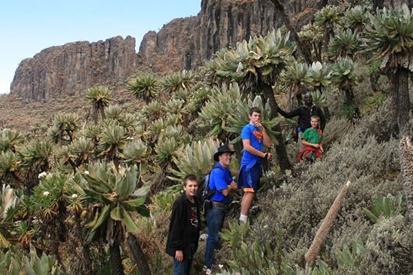 Mount Elgon Climbing