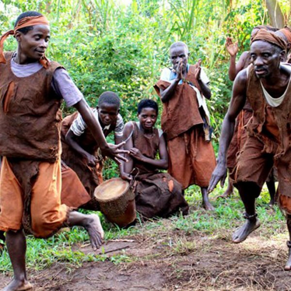 2 Days Batwa Cultural Internship