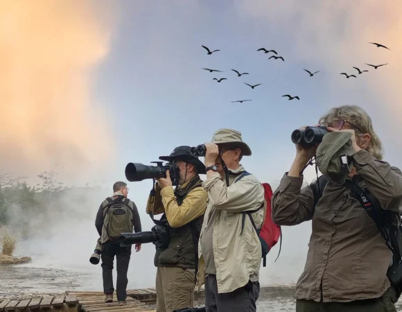 Best Destinations For Uganda Birding Safaris