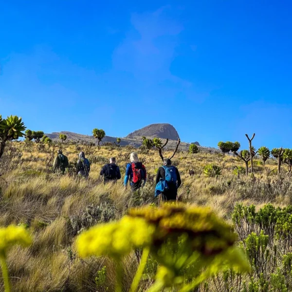 What Are The Best Trekking Trails In Uganda