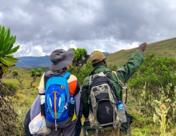 What Are The Best Trekking Trails In Uganda