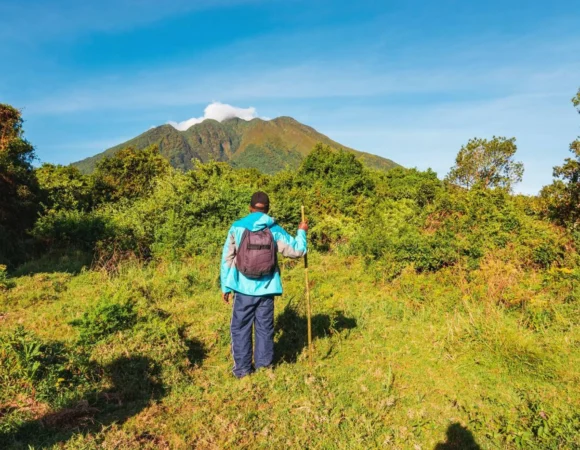 Mgahinga Volcanic Hiking Experience