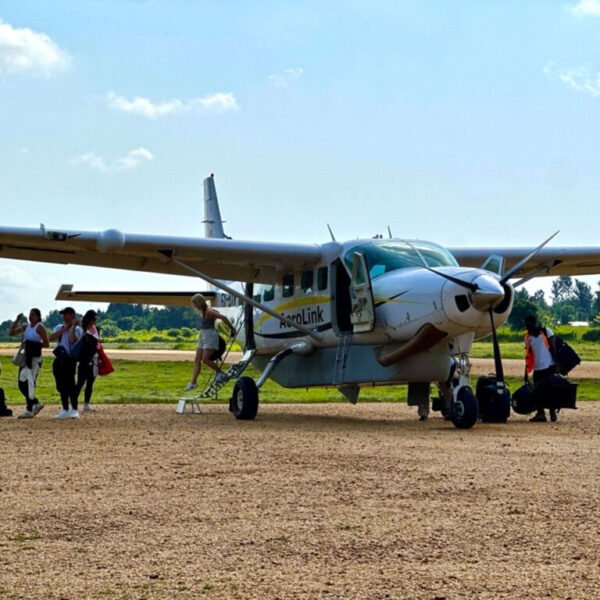 4 Days Fly in Gorilla safari
