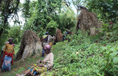 Batwa-experience