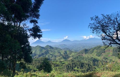 Mgahinga-Gorilla-National-Park