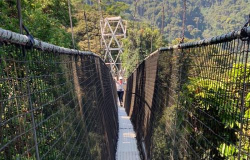 Nyungwe-canopy-walk